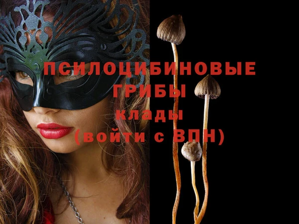 прущий лед Волосово