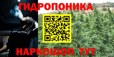 мяу мяу мука Гатчина