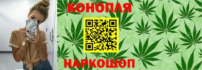 мяу мяу мука Гатчина