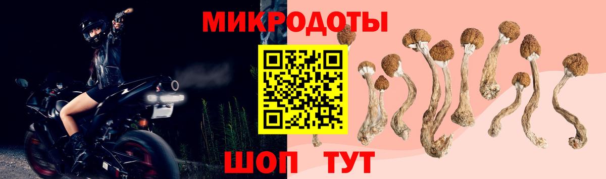 Можайск  Псилоцибиновые грибы мицелий  Вход с VPN 
